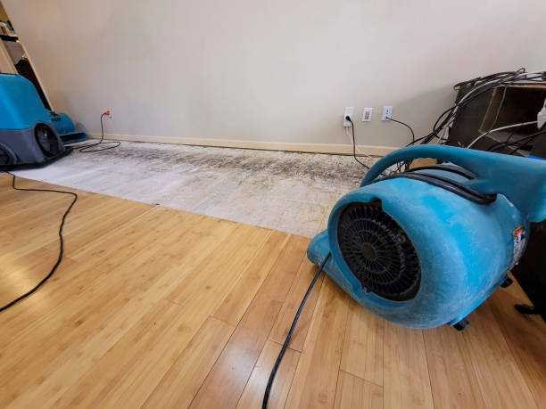 Professional Structural Drying technician working in Coral, MI